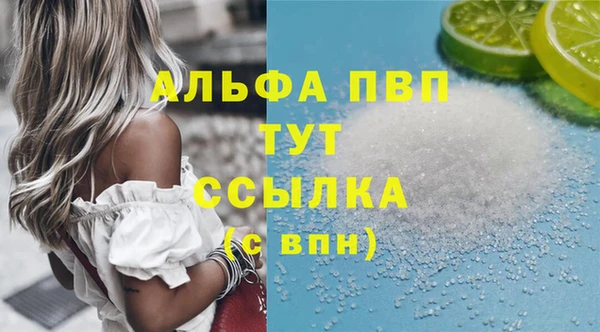 spice Снежногорск
